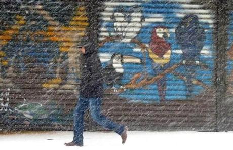 A pedestrian walked through the snow outside the Pet Store on Harvard Street in Allston. 
