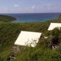 The “eco tents” at Concordia Eco-Resort, on St. John in the US Virgin Islands, look out on Drunk Bay and Salt Pond Bay. 