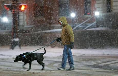 A dog and its human braved the elements on Beacon Street.
