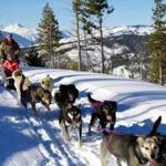 Guests at Triple Creek Ranch near the town of Darby in western Montana can go mushing in the Bitterroot Mountains. 