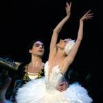 “Swan Lake’’ was last performed by the Boston Ballet in 2008, when it was still at the Wang Theatre.