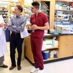 Dr. Bruce Yankner, center, spoke with genetics instructor Tao Lu, left, and post-doc fellow Liviu Aron, part of a team of Harvard Medical School researchers that discovered a protein that protects thte aging brain. 