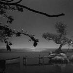 A scene from Hans Op de Beeck’s “Staging Silence (2),” a 20-minute film in which the camera never moves but everything in front of it is constantly changing.