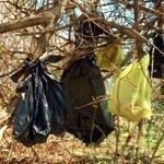 Plastic bags containing the remains of about 25 cats were found hanging from a tree in a wooded area in Yonkers, N.Y.