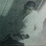 Surveillance photos appear to show former Patriots star Aaron Hernandez holding a pistol.