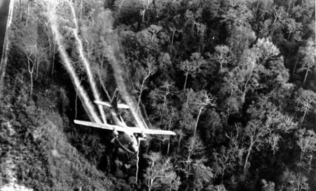 Matte flew planes that were once used to dump the toxin over Southeast Asia, like the one shown here.
