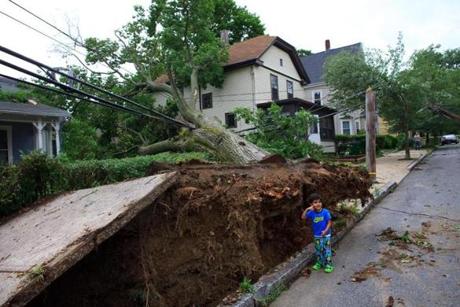 Ishan Kumar, 2, checked out a tree that crashed near his house in Medford due to severe thunderstorms in advance of Hurricane Arthur the previous evening. No one was injured and there was limited property damage.  
