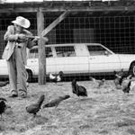 ?He was playing this song called ?The Chicken Reel,? and all these chickens started hanging around him. I originally wanted to back his limousine from out in front of his cabin, but it wouldn?t start, and there were two bales of hay in the back,? Marty Stuart, laughing, on his 1995 shot of bluegrass legend Bill Monroe. 