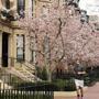Condos in neighborhoods like Boston?s Back Bay are fetching record prices.