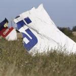 A woman took a photograph of wreckage at the crash site of Malaysia Airlines flight 17.