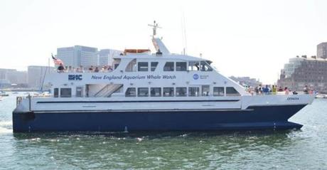 The Boston Harbor Cruises whale watch vessel Cetacea, pictured in this company photo, was freed early Tuesday.

