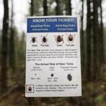 An informational card about ticks distributed by the Maine Medical Center Research Institute.