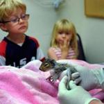 Cameron Leonard, 5, of Rockland, and his 3-year-old sister, Sarah, brought in a baby squirrel they found.