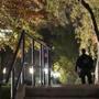 The Secret Service responded on the North Lawn of the White House after a man jumped the fence  Wednesday evening.