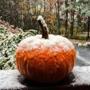 A pumpkin in Pembroke was capped in snow Sunday morning.
