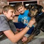 After several failed attempts to adopt a dog, 11-year-old Aidan and 9-year-old Ethan Thorp welcomed Danny into their family?s Concord home. (Aram Boghosian for The Boston Globe)