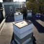 Rabbi Liza Stern checked on her bees, mostly dormant now with the cold, which she keeps on the roof next to her synagogue in Cambridge.