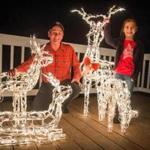 With his granddaughter, Ally, having less time to help with his 19 lighted reindeer, Fred Smith of Groveland decided to cull his herd.