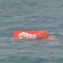 Part of the tail of AirAsia flight 8501 floated on the water's surface Saturday.