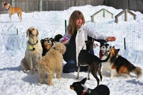 Abington-03/03/15- Happy Dogs Pet Resort owner Michelle Mayberger wants to break the snow record. Her business has picked up because there is lots of area for dogs to run around on the grounds of her business. Globe staff photo by John Tlumacki (lifestyle)
