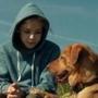 In ?White God,? Zsófia Psotta (above) stars as a young teen who is separated from her dog; (at left) street dogs fight back.