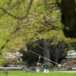 A small helicopter rested on the West Lawn of the Capitol in Washington on Wednesday. 