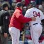 Red Sox manager John Farrell stepped in between David Ortiz and home plate umpire John Tumpane Sunday. (Matthew J. Lee/Globe staff) Topic: Red Sox-Orioles Reporter: Peter Abraham