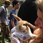 A MassArt students holds a bunny.