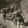 Elephants are credited with helping to win Allied victory in Burma in World War II.