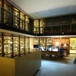 A report of gold coins missing from the Boston Public Library (pictured) comes after the disappearance of two prints from the library valued at more than $600,000.