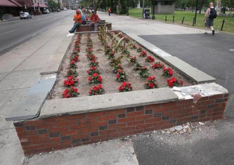 A flower bed was in a state of disrepair on the Tremont Street edge of the Boston Common.
