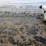 A worker cleaned oil from Refugio State Beach after the spill in May.