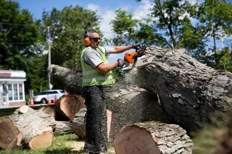 Tree warden Raymond Rose used a chainsaw to cut fallen trees in Wrentham on Wednesday.
