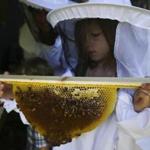 Pearl Neafsey, 6, holds one of the honeycombs from the beehive behind her family?s shed in Newton. Right: Some of the honey that Boston-based Best Bees gathers for third-year beekeepers Niles and Thiago DaSilva of the Boston.