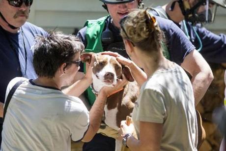Vedder, the dog that was trapped 35 feet down a well, was rescued Tuesday. 
