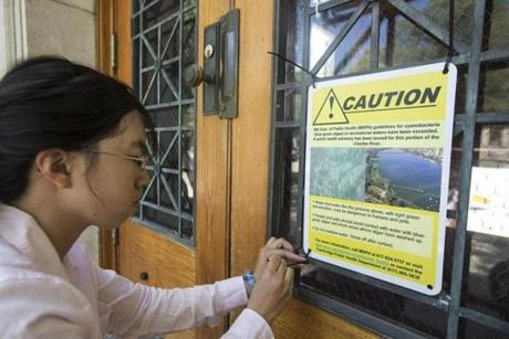 Public health intern Michelle Kwock hung a sign warning of possible high algae levels on the door of the MIT Sailing Pavillion.
