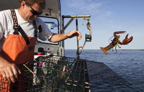Maine fishermen have landed more than 100 million pounds of lobster for four years in a row, by far the highest four-year haul in the state?s history.
