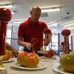 David Webber, program coordinator with the Massachusetts Department of Agricultural Resources,  placed trophies next to the winning tomatoes during the 31st annual Massachusetts Tomato Contest.