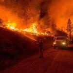 A firefighter doused flames from the Butte fire near San Andreas, California on Saturday. 