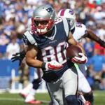 Danny Amendola had two offensive touches for 32 total yards against the Bills. 