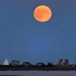 A supermoon rose over Long Beach in Plymouth Bay.