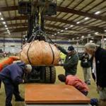 Judges inspected a Rhode Island man?s pumpkin before putting it on the scale during a weigh-off at the Topsfield Fair on Friday.