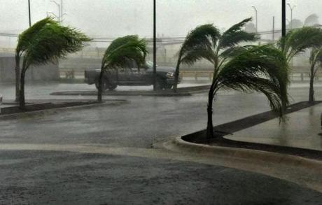 Trees bent in the wind during Hurricane Patricia in Manzanillo, Mexico Friday evening.
