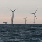 The Horns Rev 2 wind farm, off the coast of Denmark.