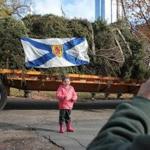Sofia Bazarra, 3, of Spain had her photo taken by her father in front of the giant tree in Boston Common.