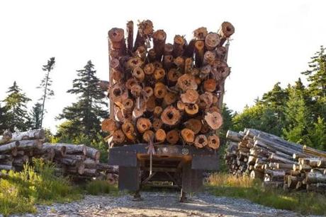 Among the things you?ll see up in Maine?s ?unorganized territory?: logs.
