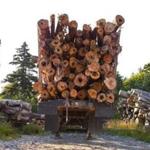 Among the things you?ll see up in Maine?s ?unorganized territory?: logs.
