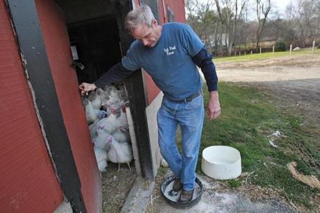 Adrian Collins, owner of the Out Post Farm in Holliston, disinfected his shoes before entering a poultry barn.
