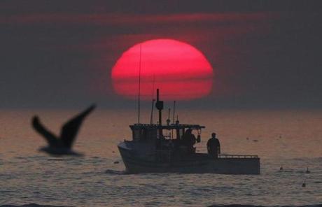 A lobster boat headed out to sea at sunrise in August. The result is that lobster is easy to come by at the market. 
