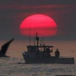 A lobster boat headed out to sea at sunrise in August. The result is that lobster is easy to come by at the market. 